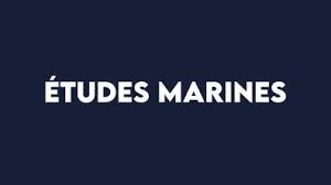 Image Alt Text